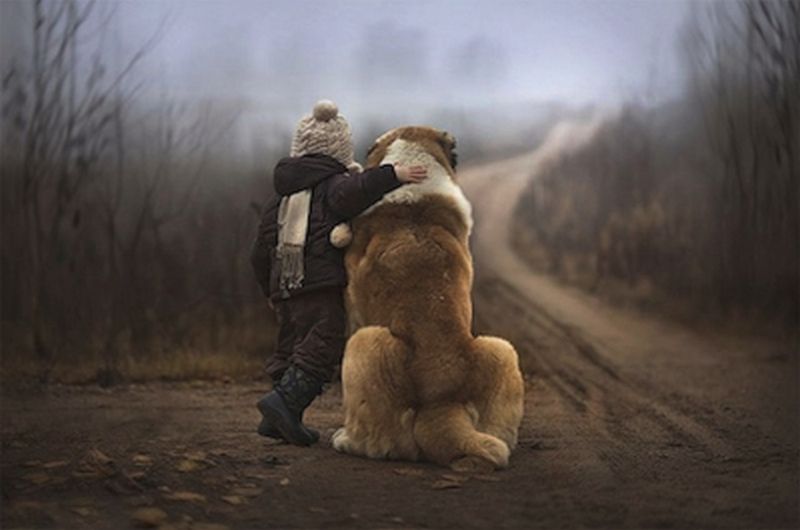 IL POPOLO DEGLI ANIMA-LI