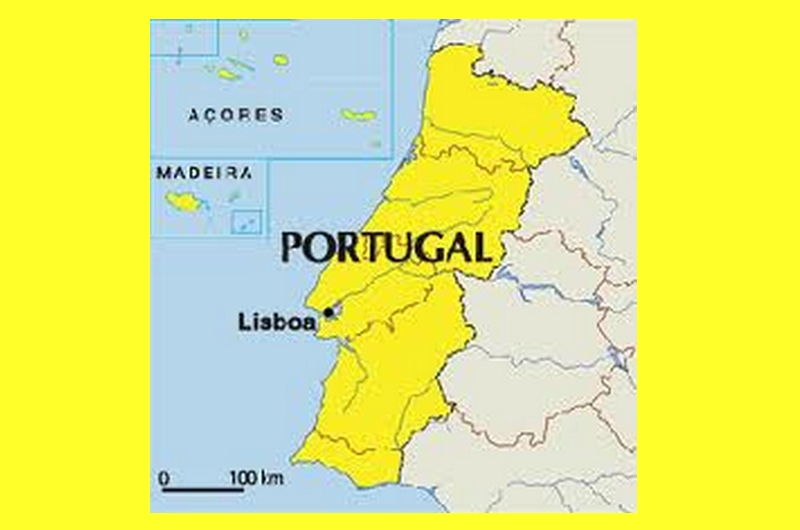 Psiquiatria em Portugal