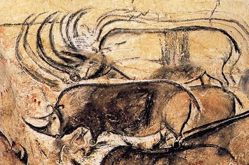 QUESTIONI DI SPECIE