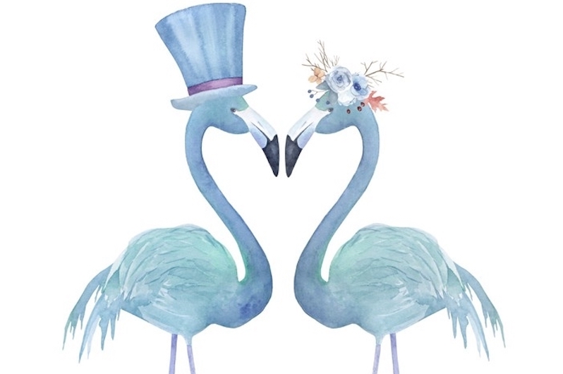 Matrimoni felici e dove trovarli